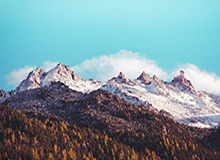 体育App下载-LPL赛事官方:Bin国际赛事招牌英雄胜率