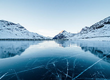 乐鱼苹果-塔图姆儿子Deuce认真给女球迷签名：不好意思 字写得难看